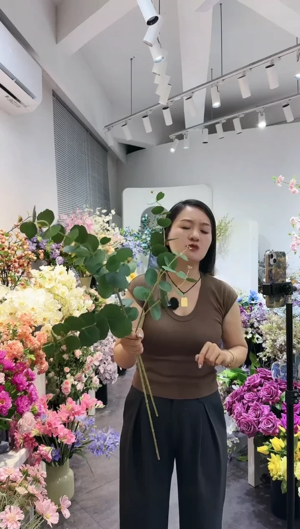 【闪购商品】藤20CM（含）-50CM（不含）苹果叶  3支