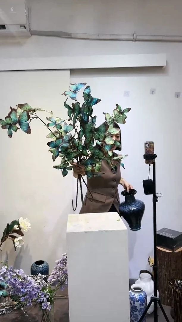 【闪购商品】拍3到4大蝴蝶