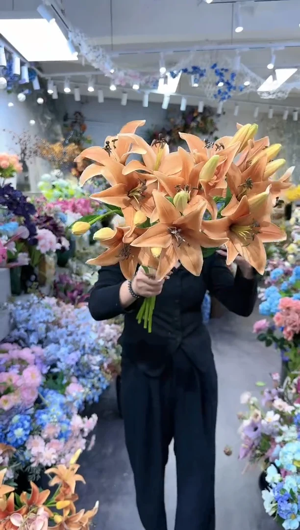 【闪购商品】红陶20CM（含）-50CM（不含）拍10到12橙色小百合