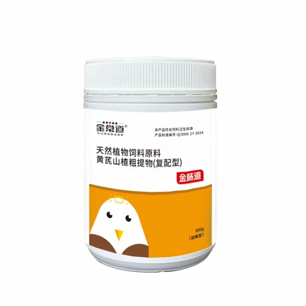 金肠道   赛鸽信鸽鸽子用品 日常健康产品