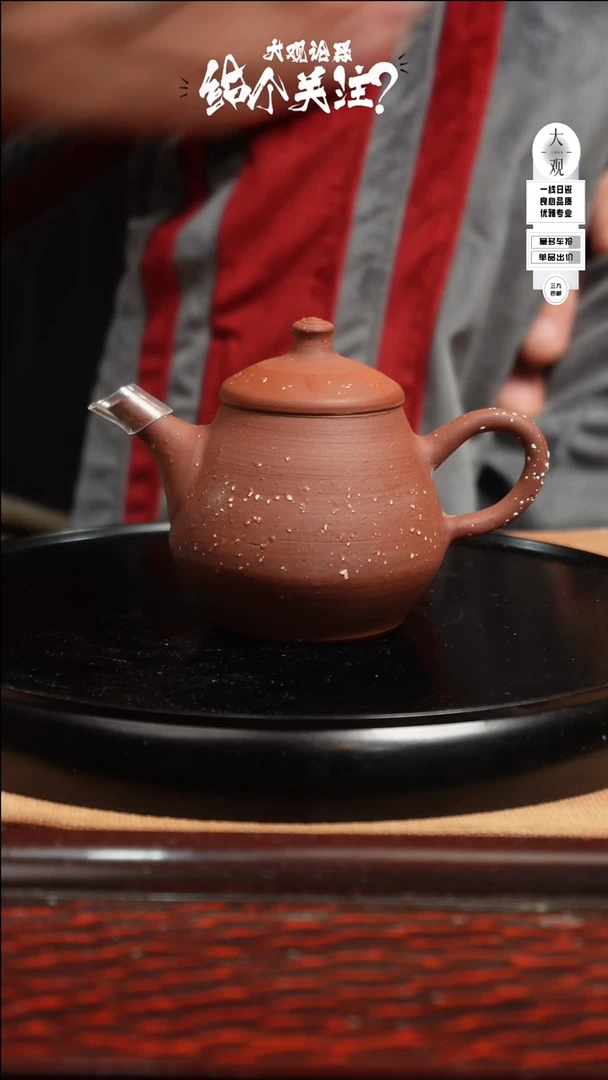 【闪购商品】瓷片大观论器后手壶