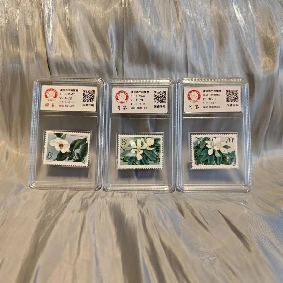《嘉荣讲邮票》T111 濒危木兰科植物-封装评级