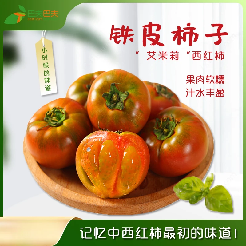 【巴夫专属】铁皮草莓柿子5斤人工采摘黄金籽酸甜多汁柿子味浓