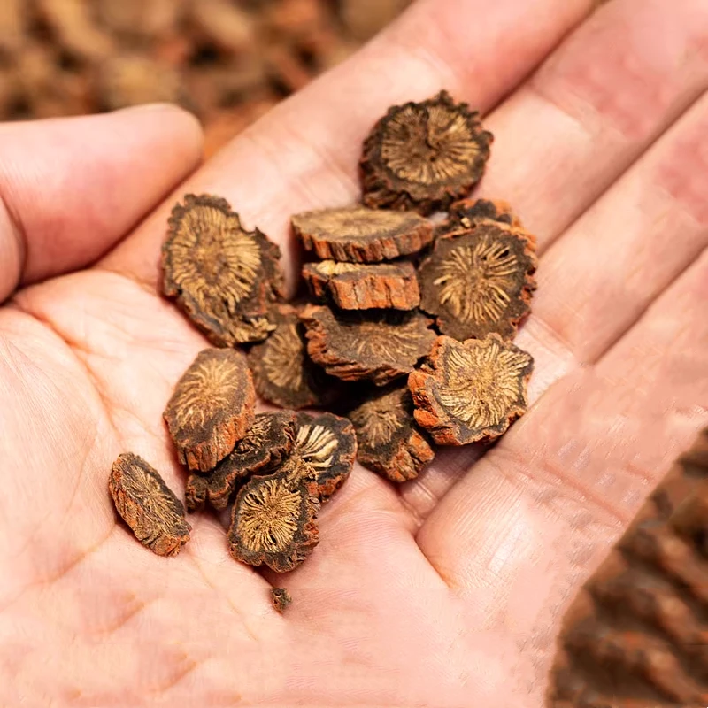 珠妈妈甄选-紫丹参            （百合）切片食用