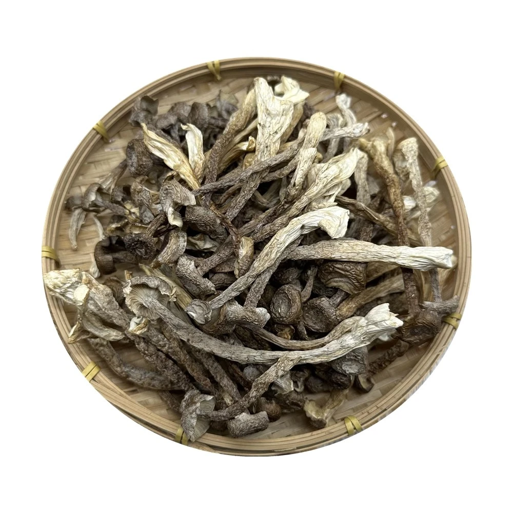 珠妈妈甄选-精选特级 鹿茸菇