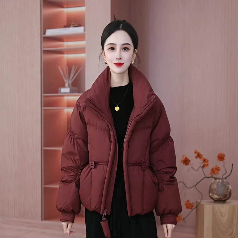 2024冬季气质时尚白鸭绒羽绒服保暖显瘦轻奢洋气加厚羽绒服B69