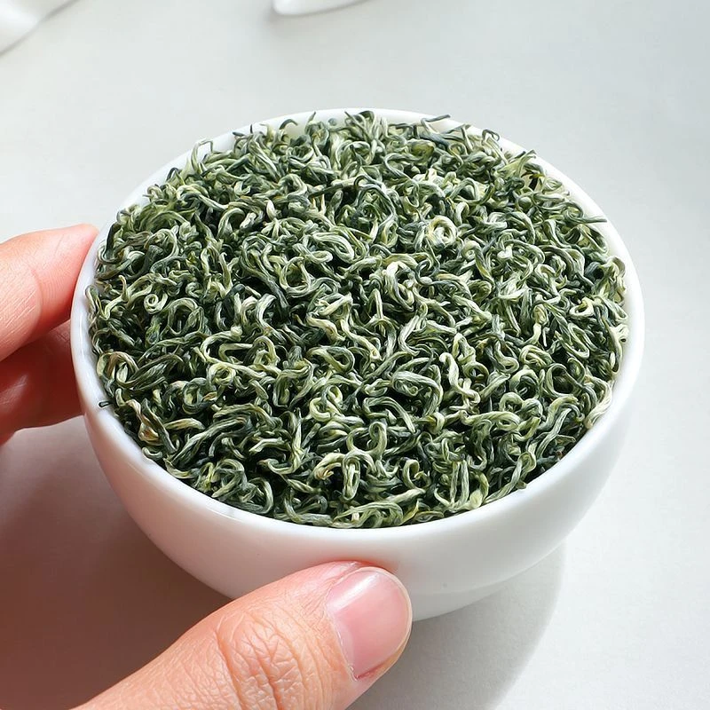 2025新茶贵州高山云雾绿茶毛尖茶碧螺春春茶浓香耐泡型茶叶