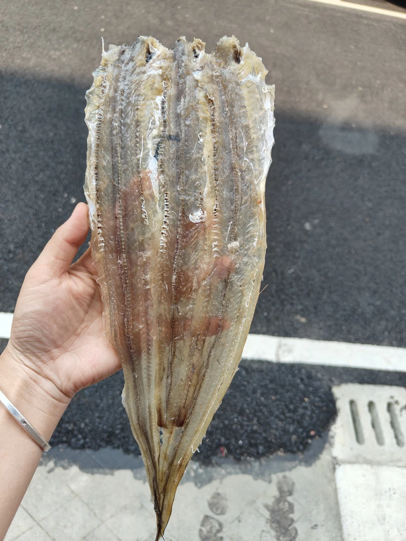 北海白鳝干鱼干甜味