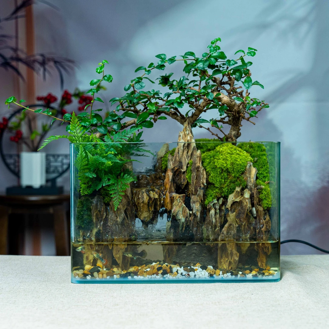 【無野】流水景观邛崃-尺寸长30宽18高20厘米成品创意桌面绿植