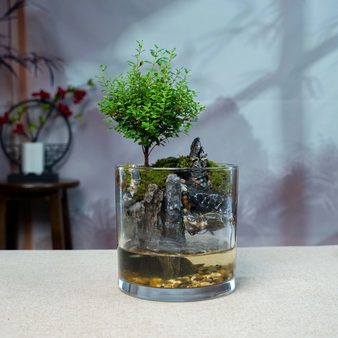 【桃夭】圆缸流水-山水缸尺寸长宽高15厘米创意绿植桌面景观