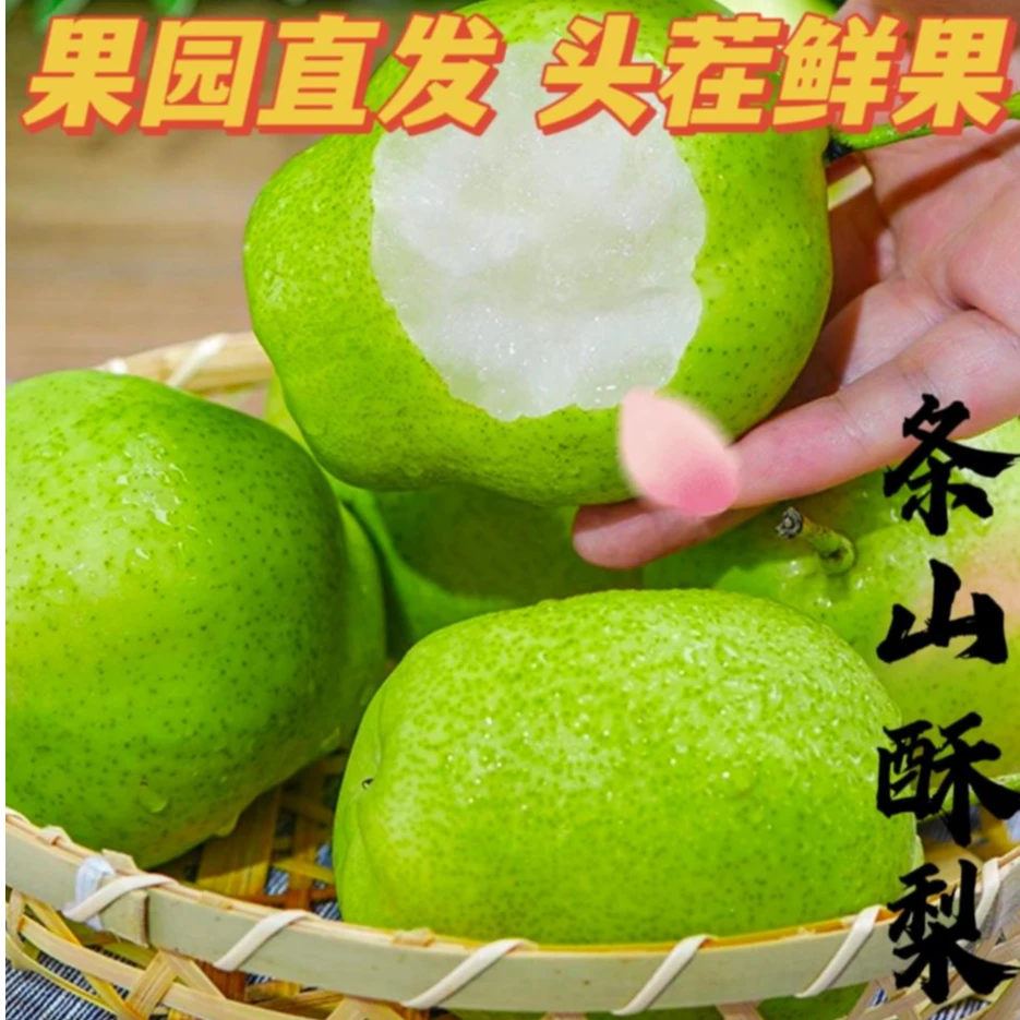 【2条山酥梨】现摘现发4.5斤装酥脆多汁细腻无渣应季头茬果园直发