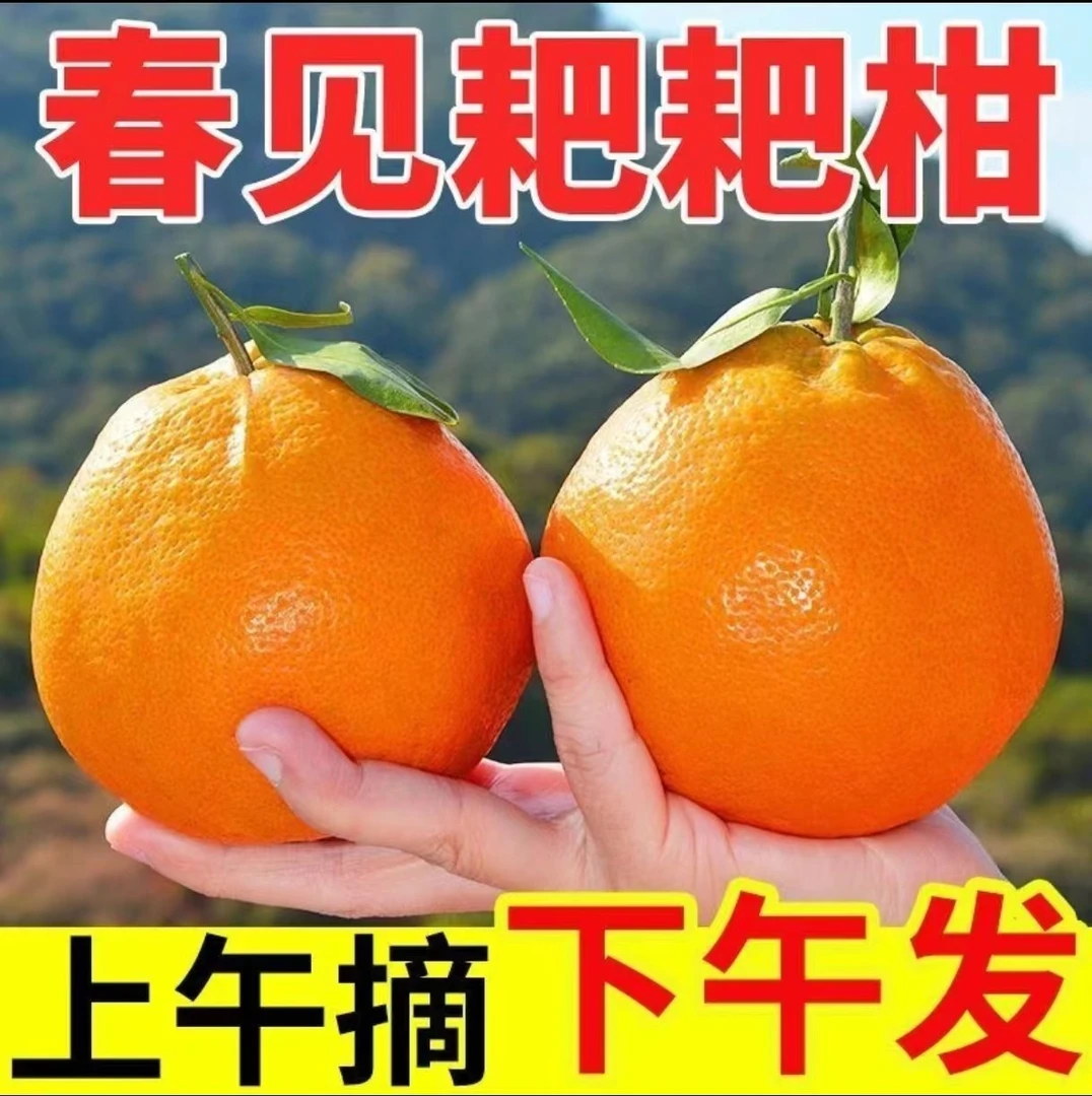 【忆田】四川春见耙耙柑现摘新鲜柑橘5/8斤香甜皮薄多汁直供农家