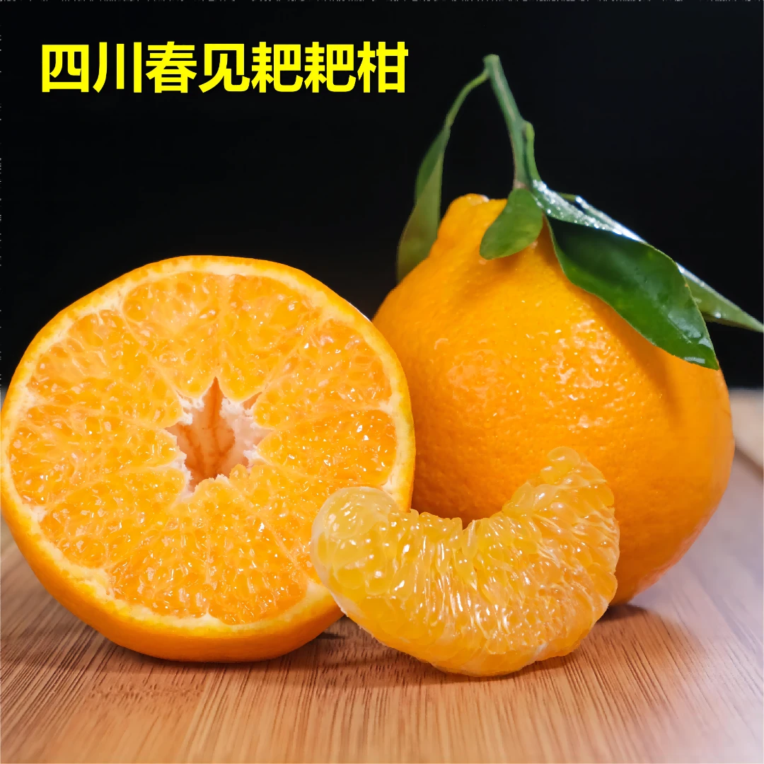 四川春见耙耙柑现摘新鲜柑橘2斤/5斤/8斤应季水果包邮