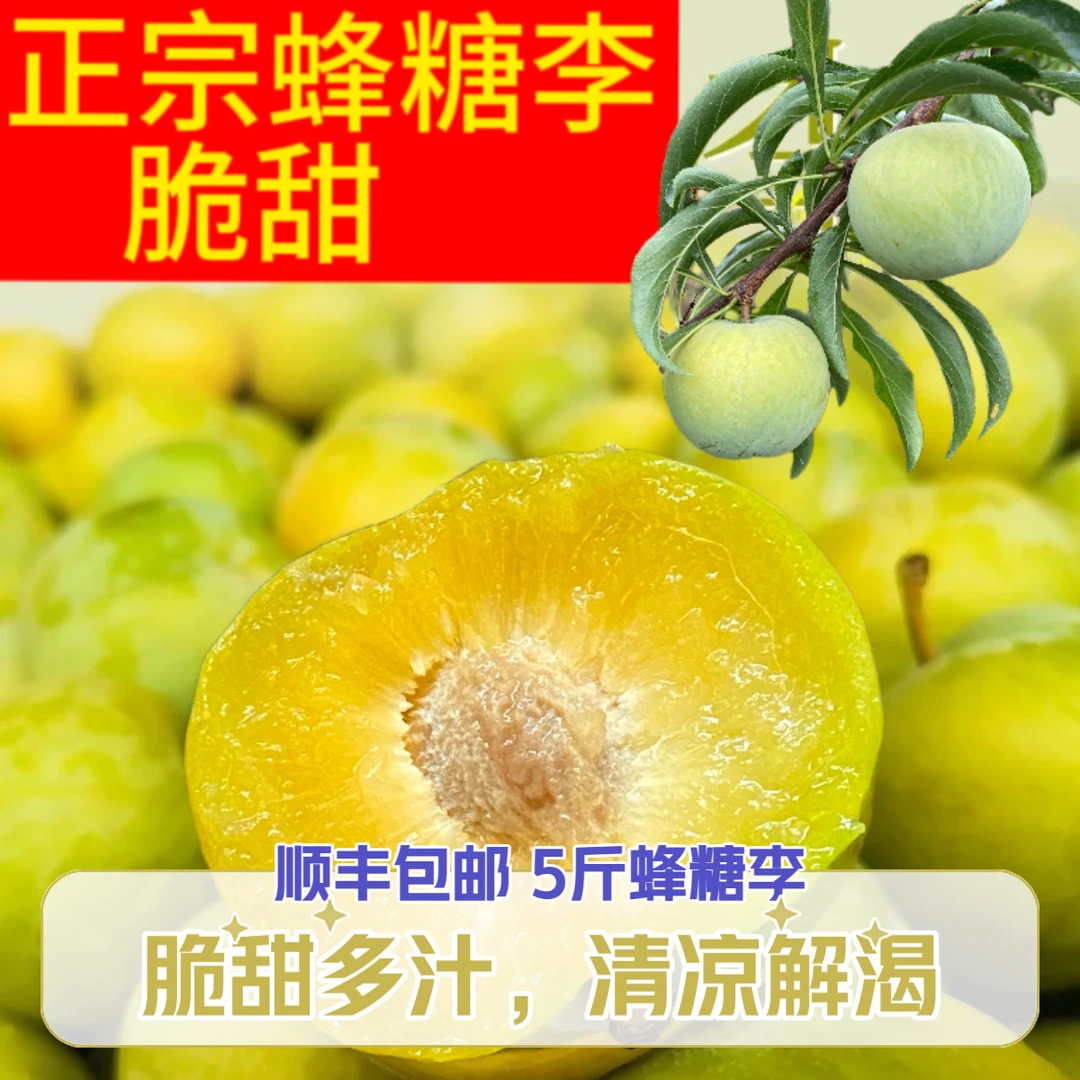 【顺丰标快】5斤装正宗蜂糖李甜脆李自家果园现摘现发口感细腻脱骨