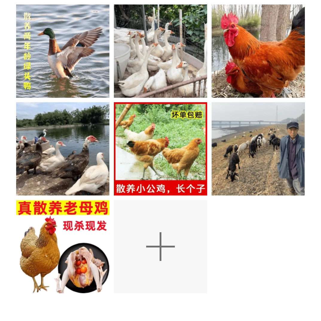 苏北小五哥江苏盐城农村土货补价鸡