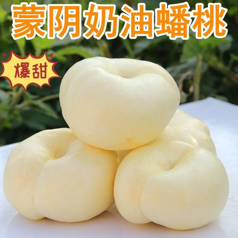 【奶油蟠桃】蒙阴新鲜直发香甜