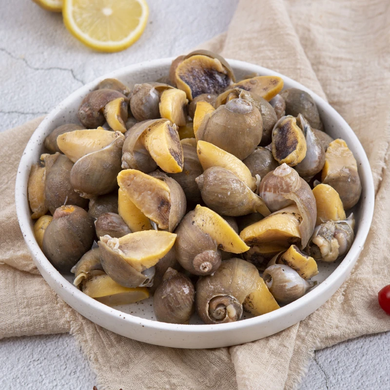 连云港 精选鲍螺（老婆脚）2斤~4斤速冻锁鲜