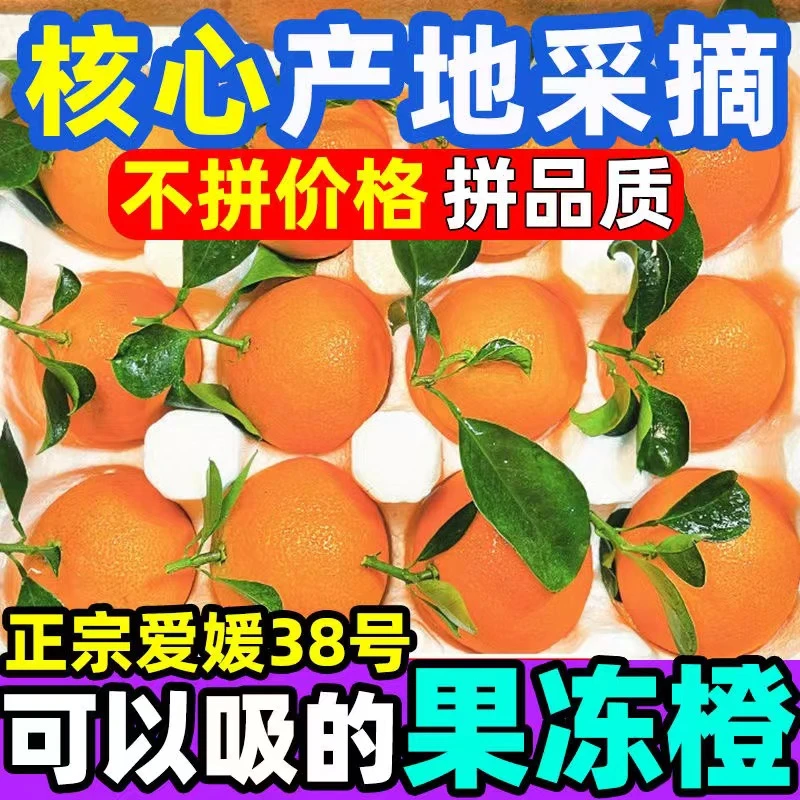 四川爱媛38号果冻橙原产地现摘现发皮薄肉厚