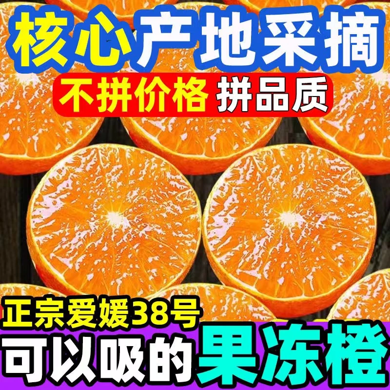 正宗四川爱媛38号果冻橙应季水果