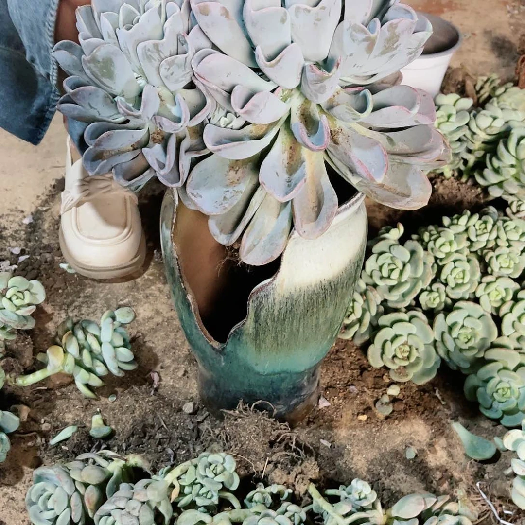 英**爽美尻这波福利