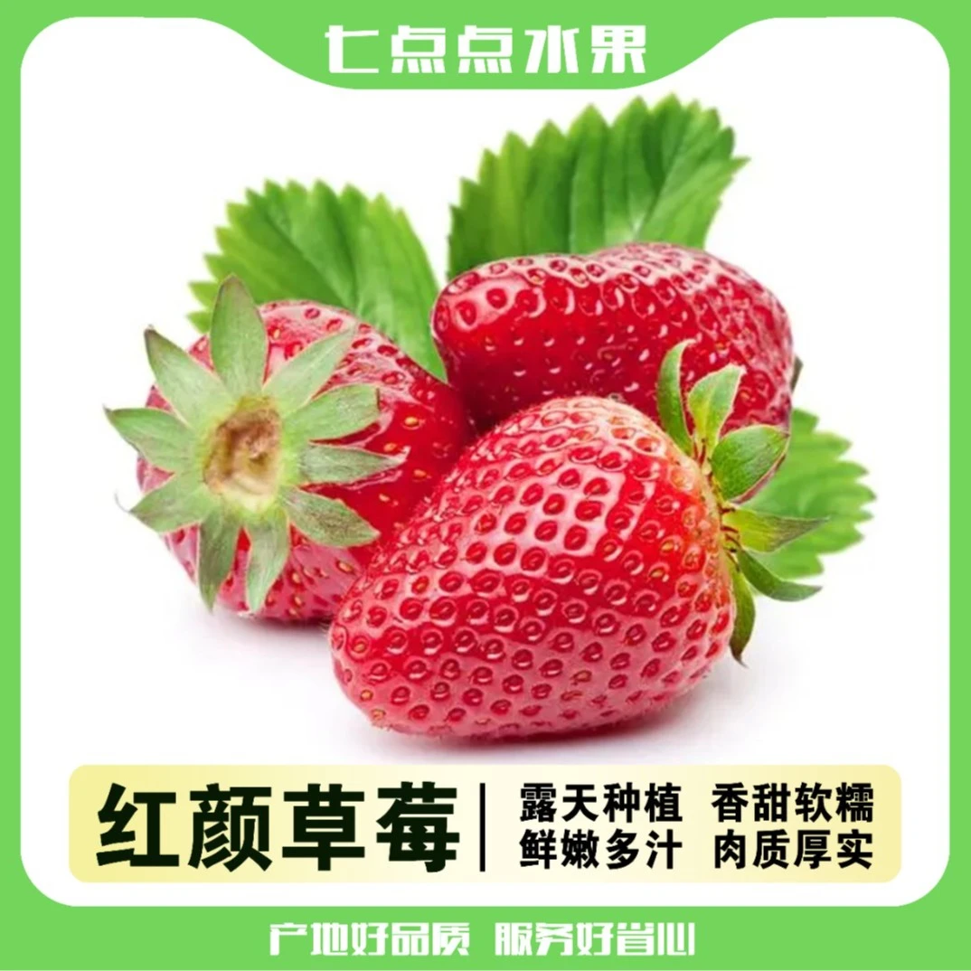 【小时达】红颜99奶油草莓香甜可口三盒装