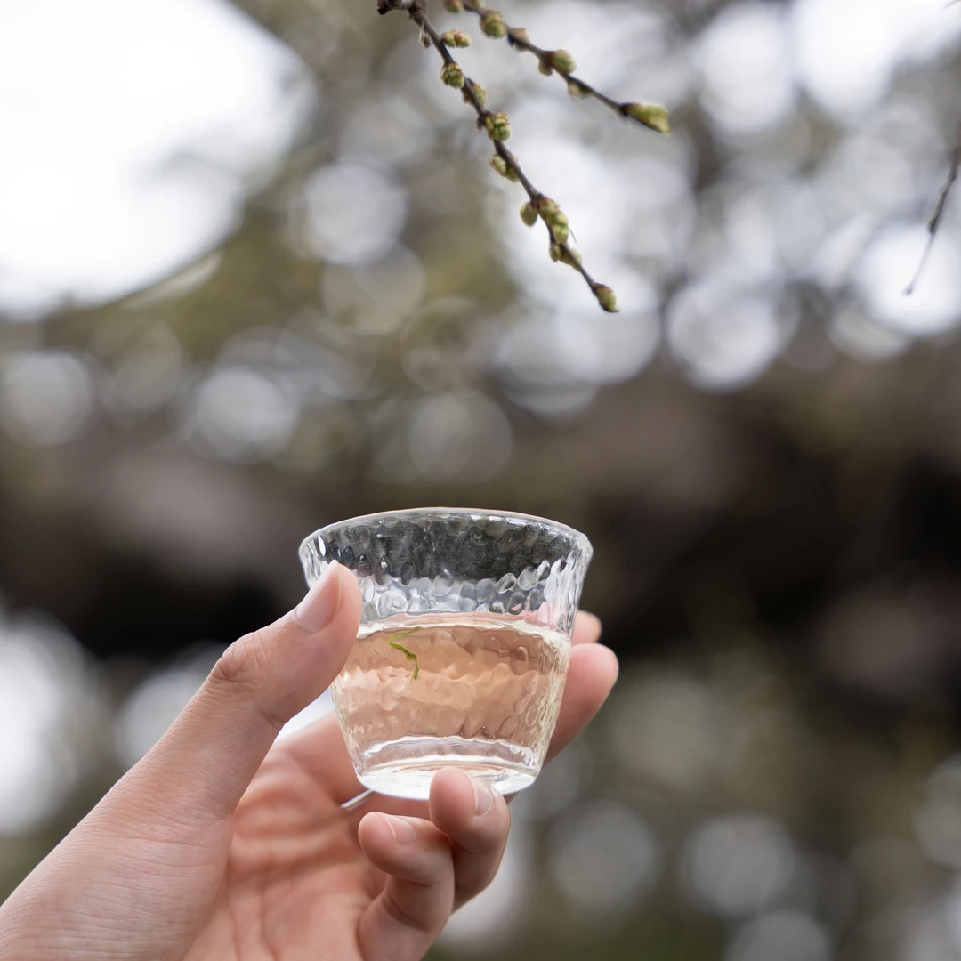 【龙井茶】24年明前头采龙井 | 熏袖