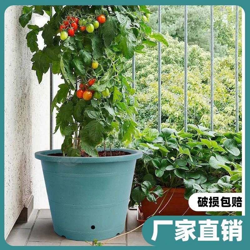 直桶盆蓝莓盆加高特大号加厚塑料龙缸大花盆庭院家用果树