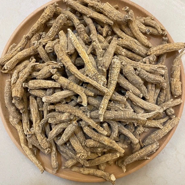 【西洋参】（美）西洋参 3g