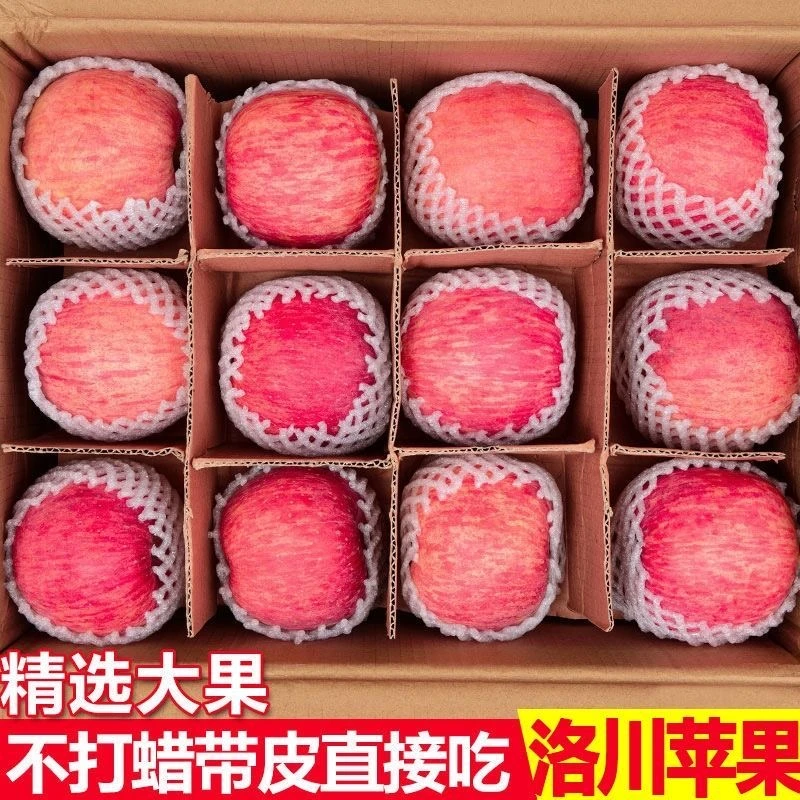 【2024年新果】正宗延安洛川红富士苹果新鲜水果产地直采带箱5/10斤