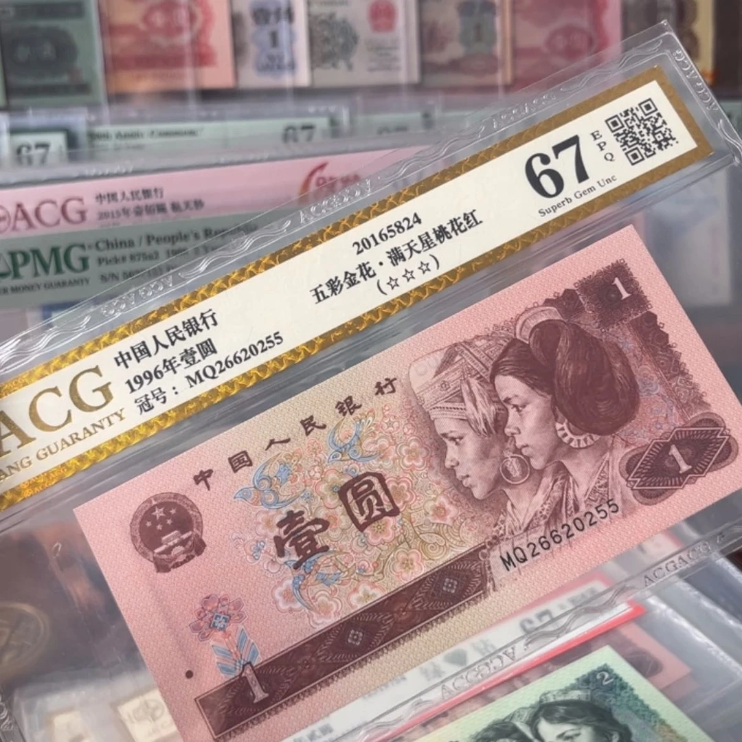 【闪购商品】字**络20255