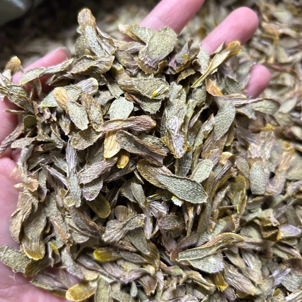 【直播间专属】正宗雁荡山铁皮石斛片 大片 胶质满满 100-200克包邮