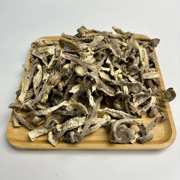 【直播间专属】鹿茸菇干货新鲜干货可煲汤煮水250克包邮