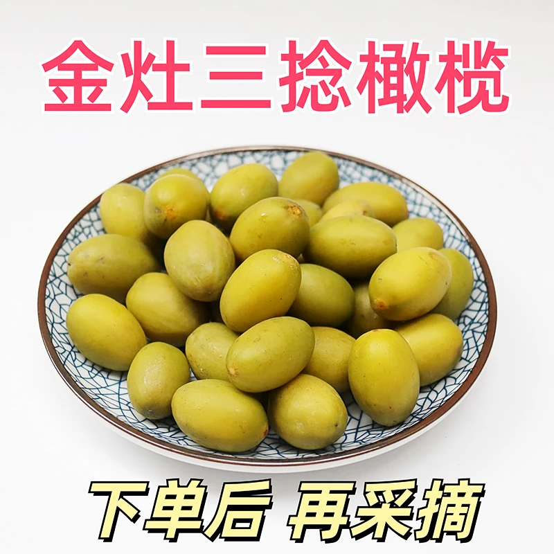 2025果园现摘正宗金灶三捻橄榄三棱橄榄当季新鲜孕妇水果生吃煲汤