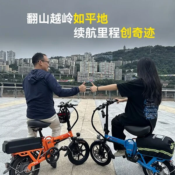奥米融正品新国标x8西藏款翻山王云贵川专用代驾折叠电动自行车