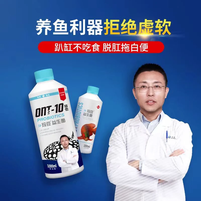 玛豆昂他益生菌鱼不吃食趴缸多是肠道的问题非肠炎鱼药