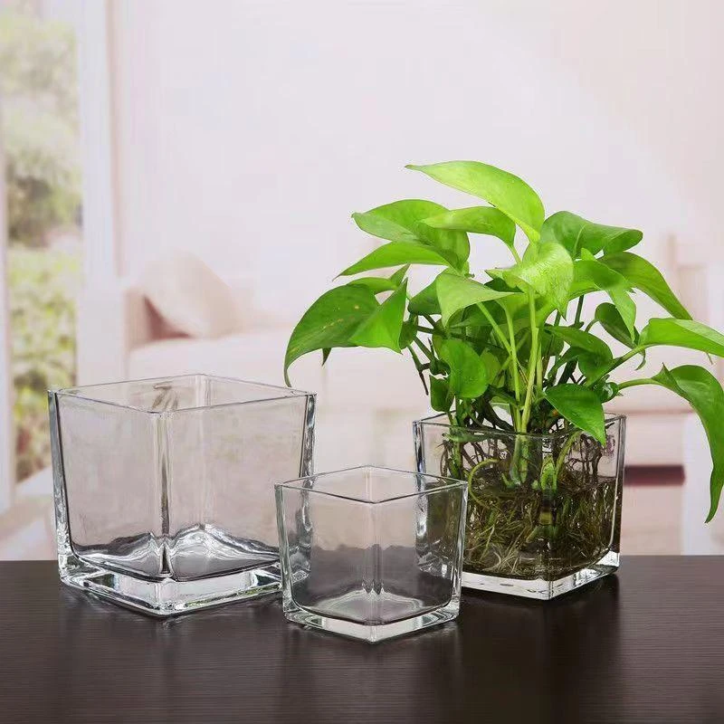 简约超白水培花盆正方形玻璃花瓶绿萝水养植物器皿乌龟缸摆件插花