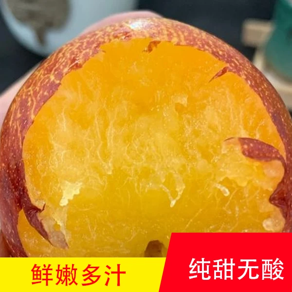 国峰原土蜂糖苗蓝莓桉树葡萄树苗柠檬树石榴红枣树正宗猕猴桃树苗
