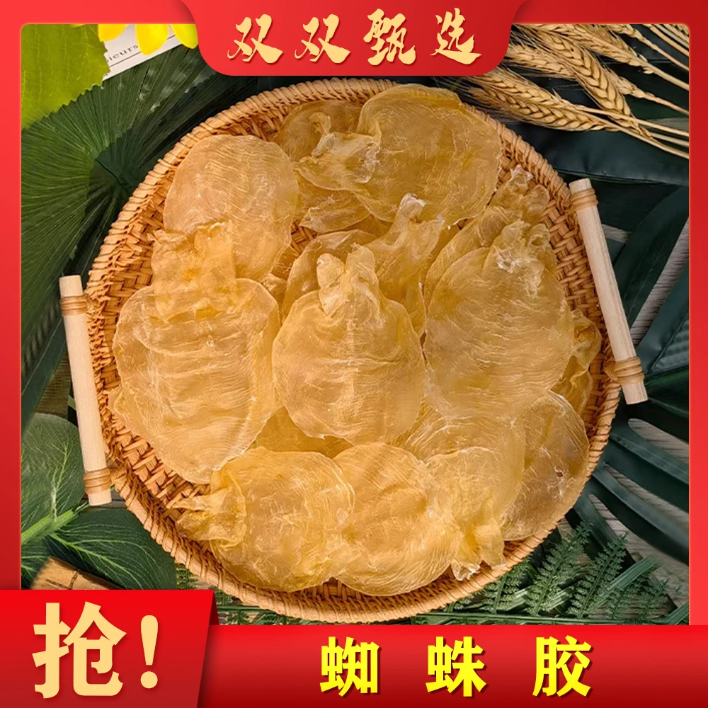 甲肚（蜘蛛片）老胶