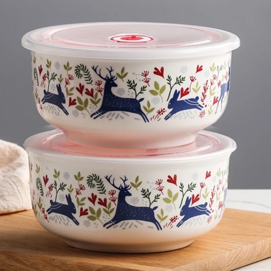 可微波炉加热专用碗陶瓷碗带盖上班族饭盒便当碗冰箱带饭盒保鲜盒