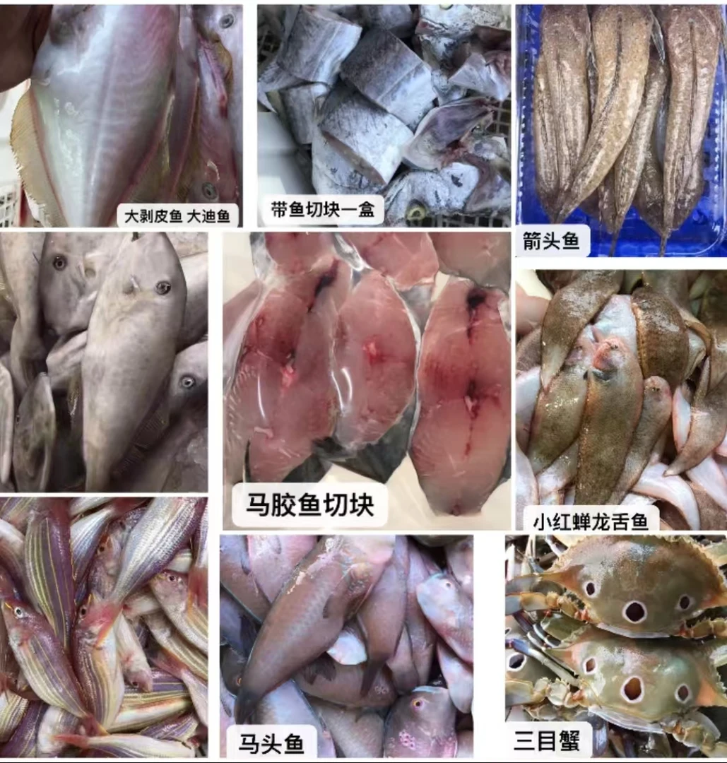 临时链接（现称）看到是什么海鲜就是什么