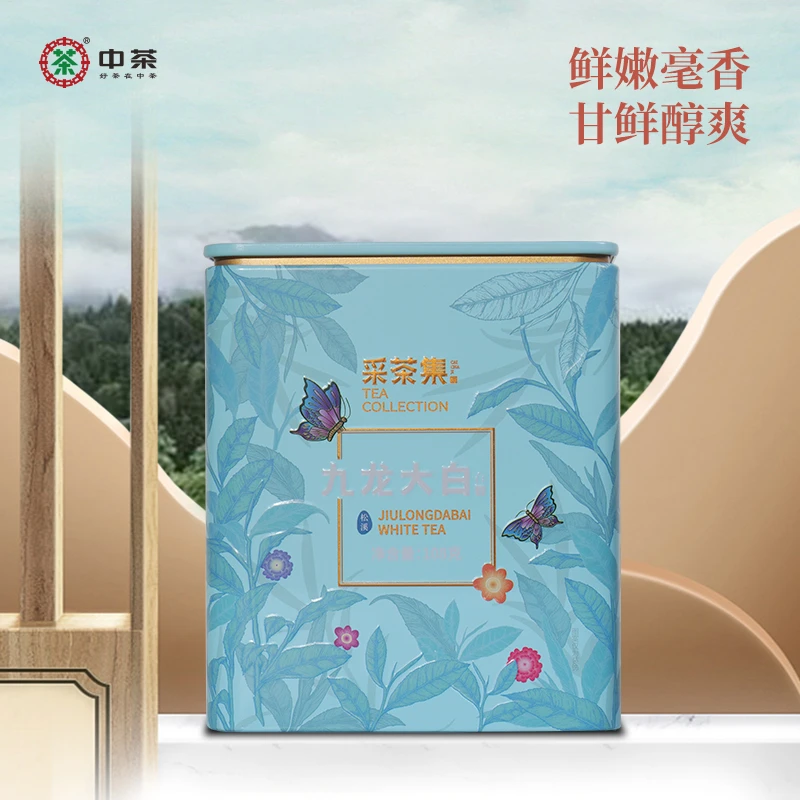 【海泉专属】中茶采茶集九龙大白松溪特级白牡丹白茶罐装茶叶108g