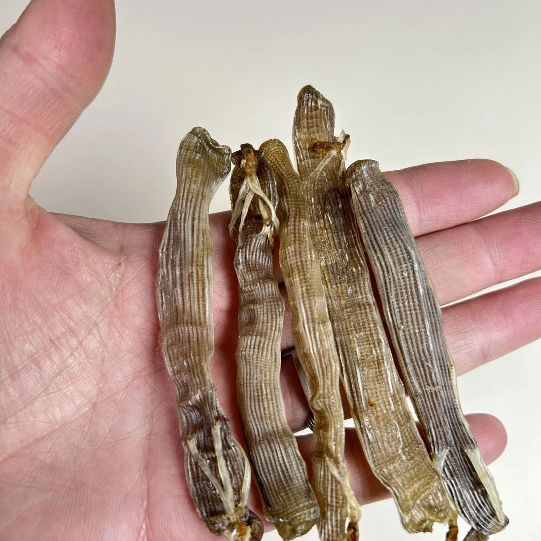 海产千货 湛江特产 大号沙虫海肠子100/250/500克装