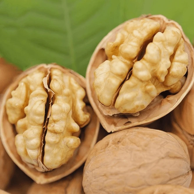 官方庄 核桃山货零食果干肉厚嚼食磨粉煮粥250g散装