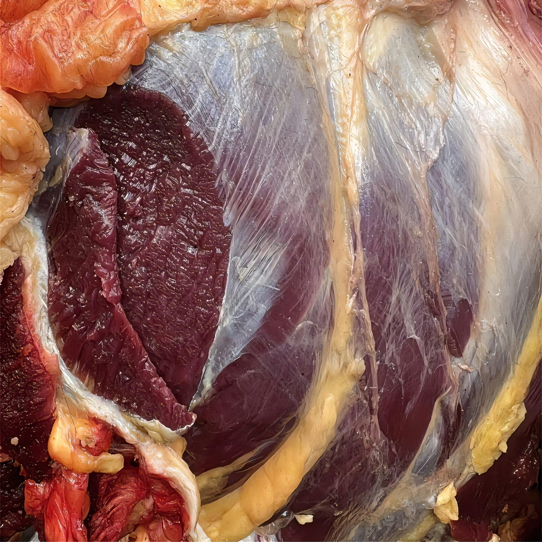 【卡龙藏寨跑山牦牛】后腿肉