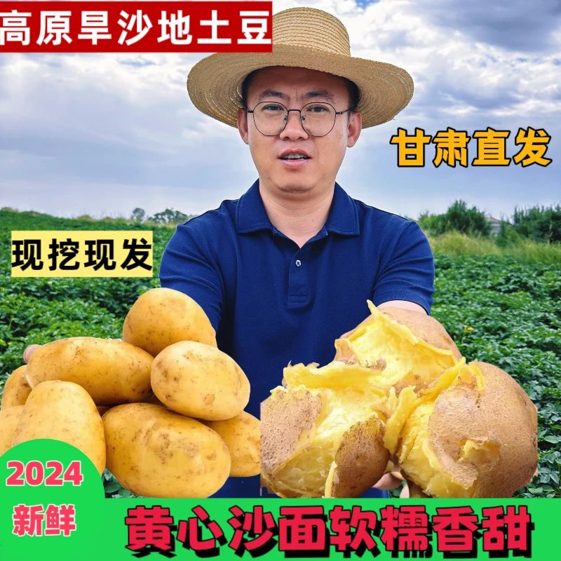 2024年新鲜高原甘肃定西旱沙地黄心土豆净重优质露天现挖现发