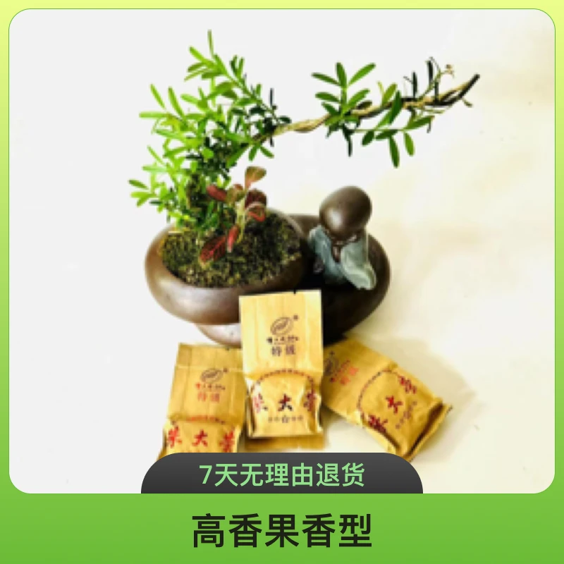 买二送一【朱大荣】大荣非遗传承人传统工艺漳平水仙高香果香型