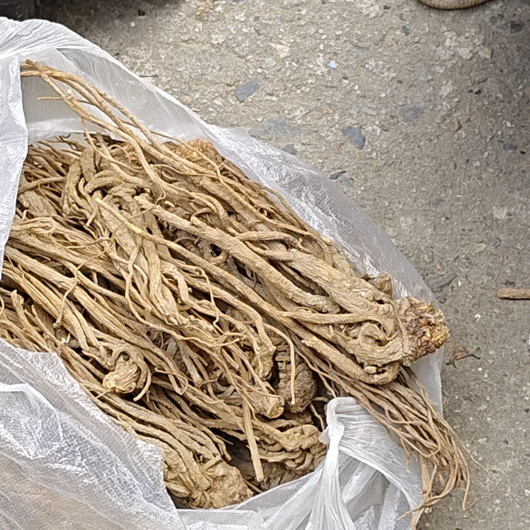 边城土特----当归