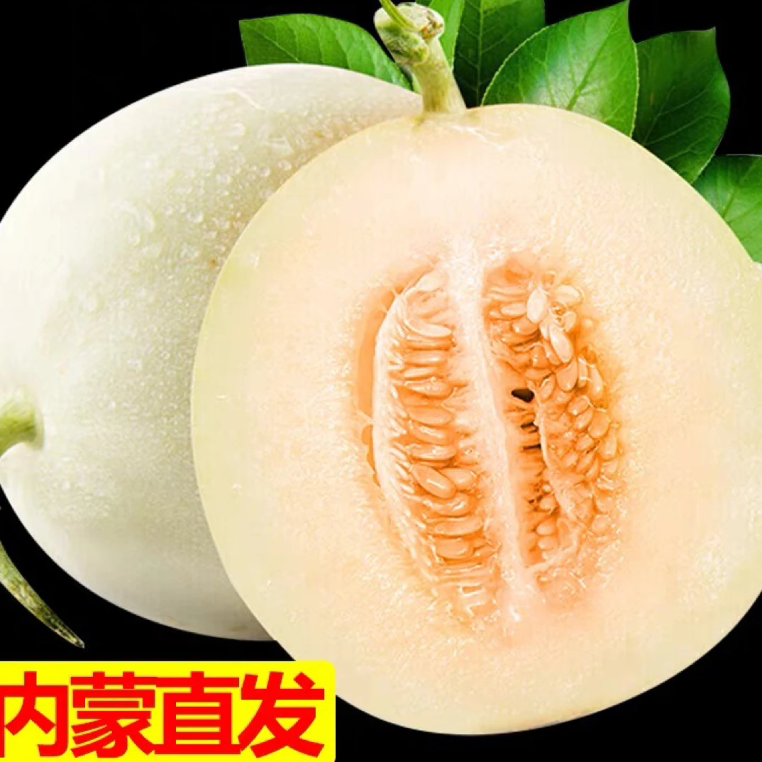 内蒙古甜红玉瓜包邮冷藏后口感更佳