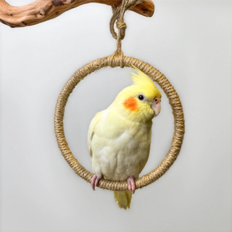 圆形吊环秋千野趣鹦鹉玄凤小太阳玩具爬架游乐园鸟用品