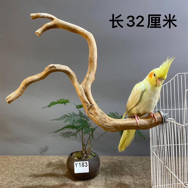 手工鸟笼站杆鹦鹉原木秋千树枝啃咬磨牙趣味玩具爬梯宠物用品配件